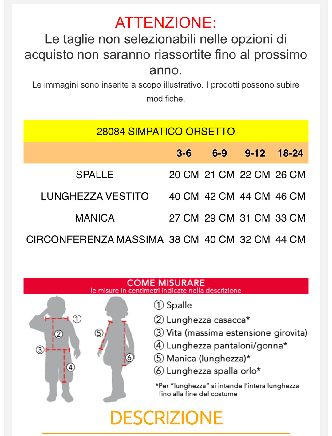 SIMPATICO ORSETTO