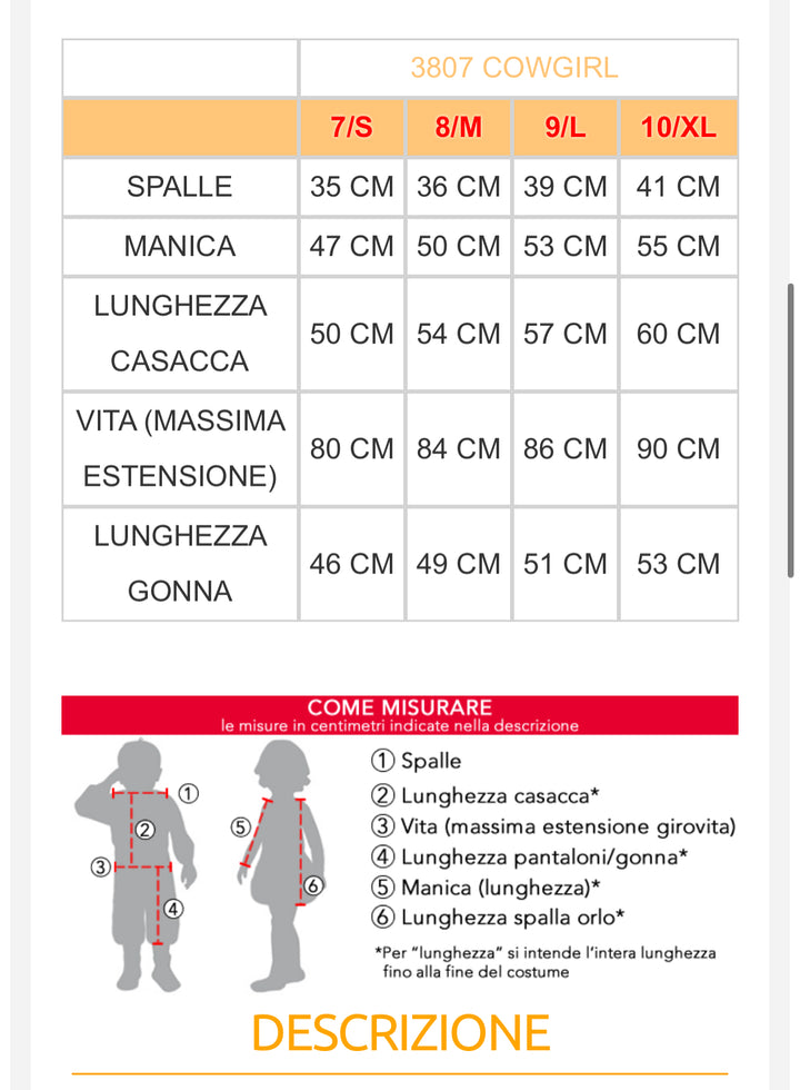 Costume carnevale bambina  3806