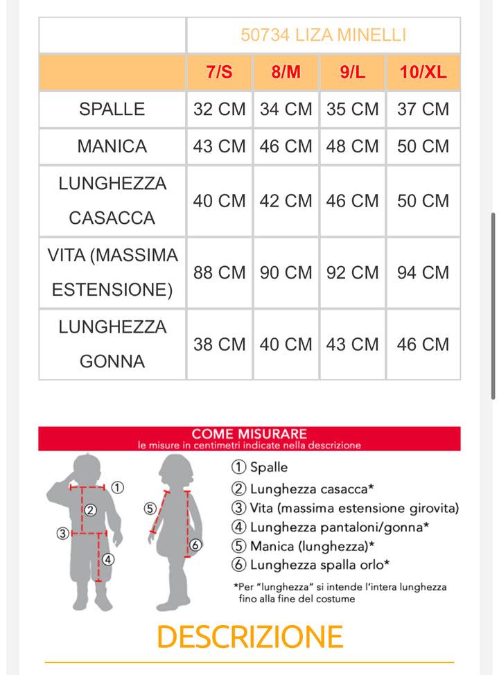 Costume carnevale bambina  50743