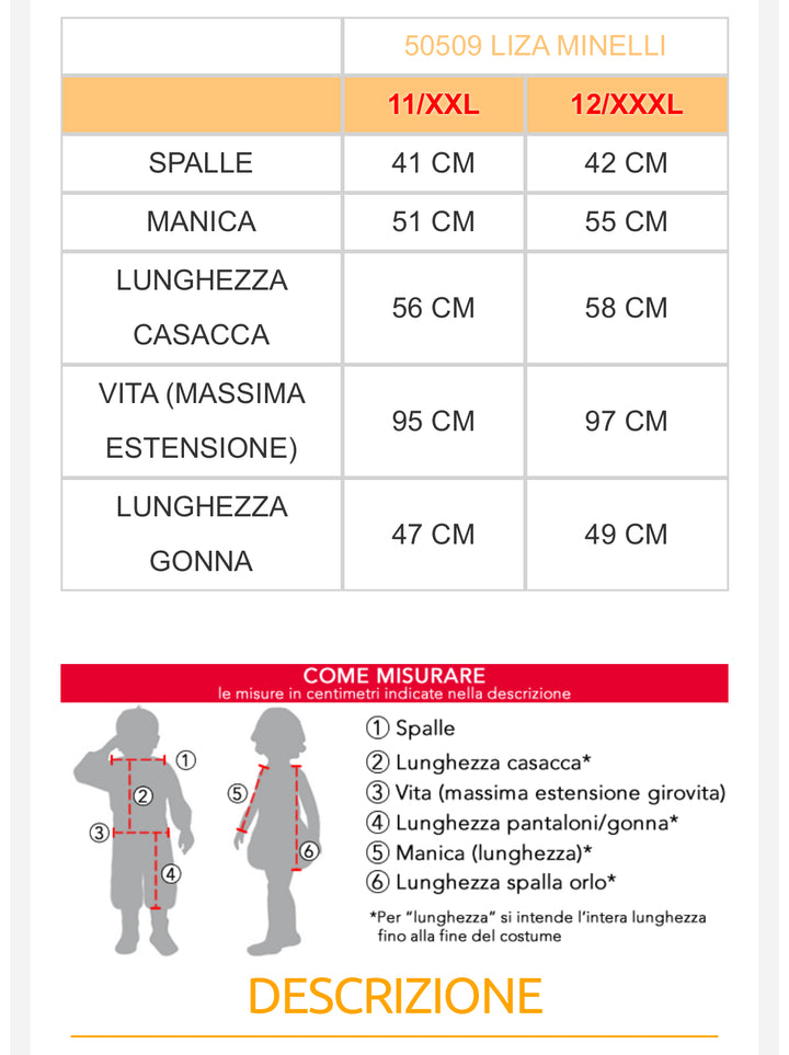 Costume carnevale bambina  50743